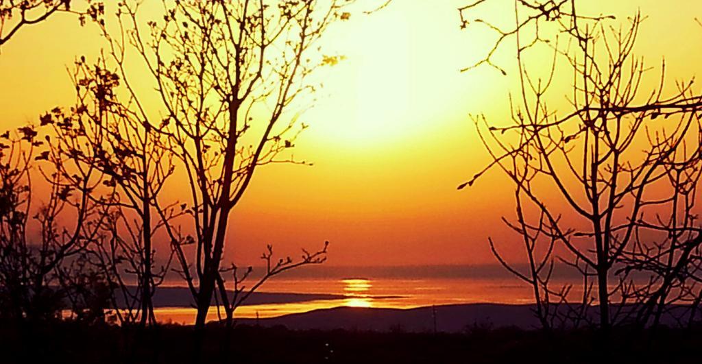 Holiday Home Lucija "" Private House With Pool "" ยาบลานัก ภายนอก รูปภาพ